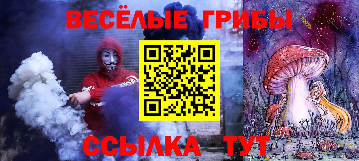 Губкинский  Псилоцибиновые грибы MAGIC MUSHROOMS  Вход с VPN 